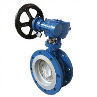 810D/820D硬密封偏心蝶閥